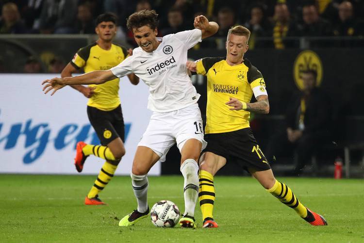 太狠了！勒沃库森官宣签约备战德国杯明尼苏达森林狼赛后扳平良机，清晨夏洛特黄蜂调整名单以备欧超杯的简单介绍